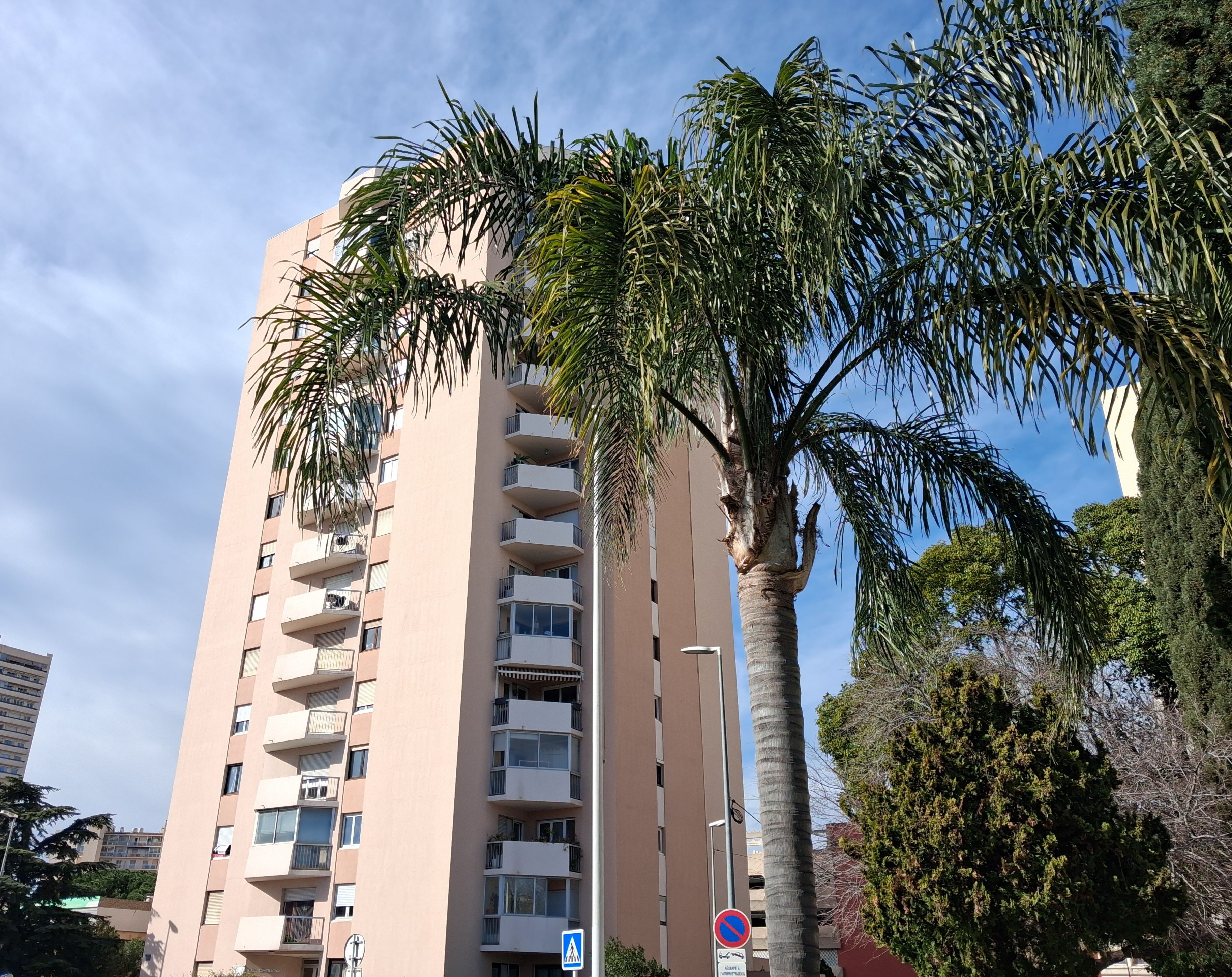 Appartement - TOULON