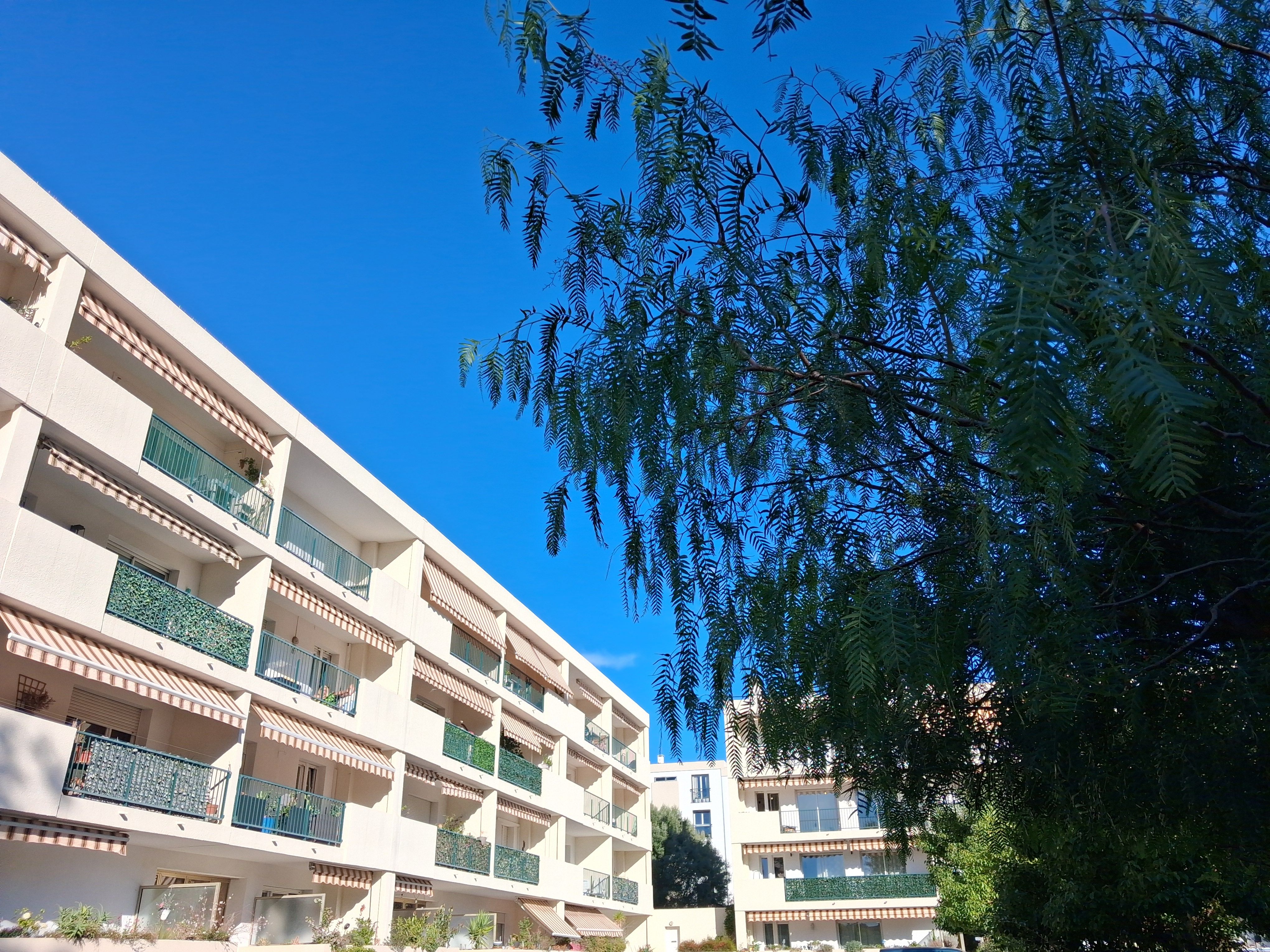 Appartement - TOULON